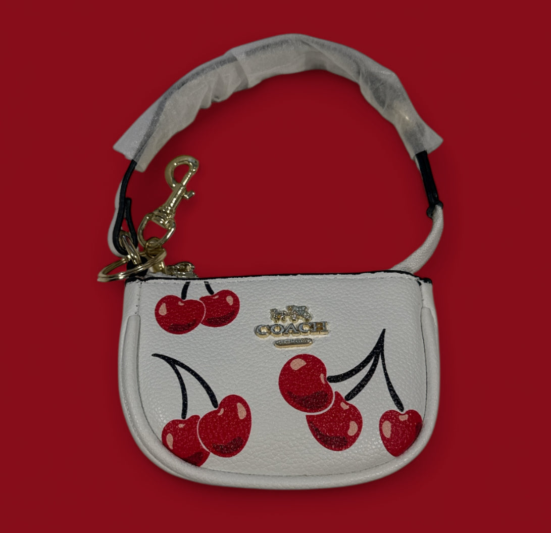Small coach purse