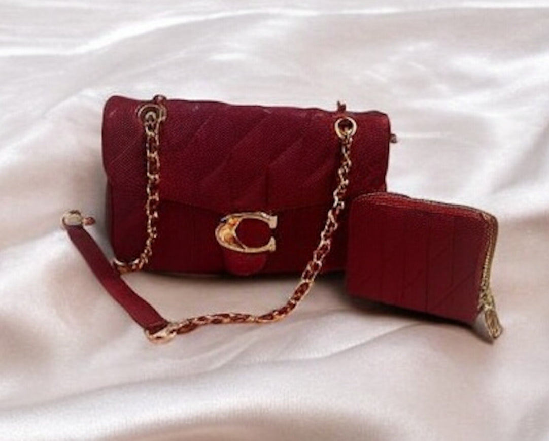2 pc coach purse vegan leather with chain