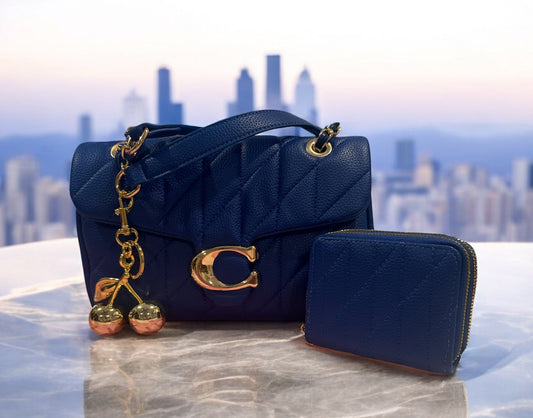 2 pc coach purse vegan leather with chain